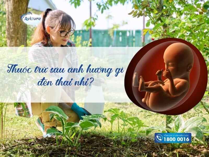 Thuốc trừ sâu ảnh hưởng gì đến thai nhi?
